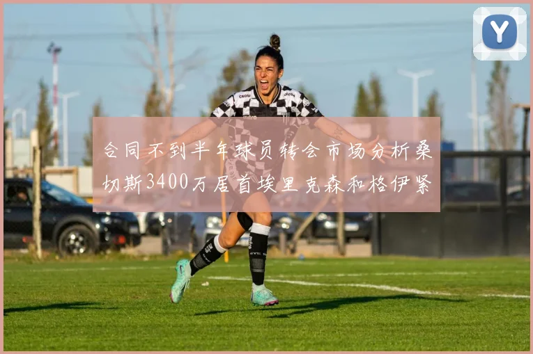 合同不到半年球员转会市场分析桑切斯3400万居首埃里克森和格伊紧随其后